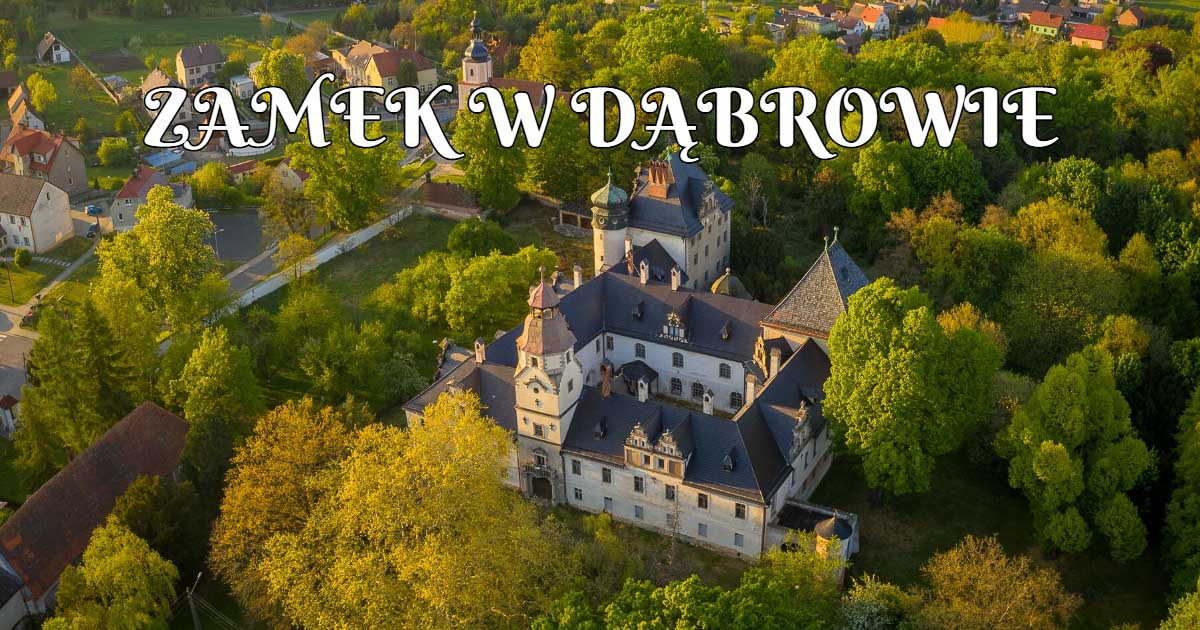 Zamek w Dąbrowie