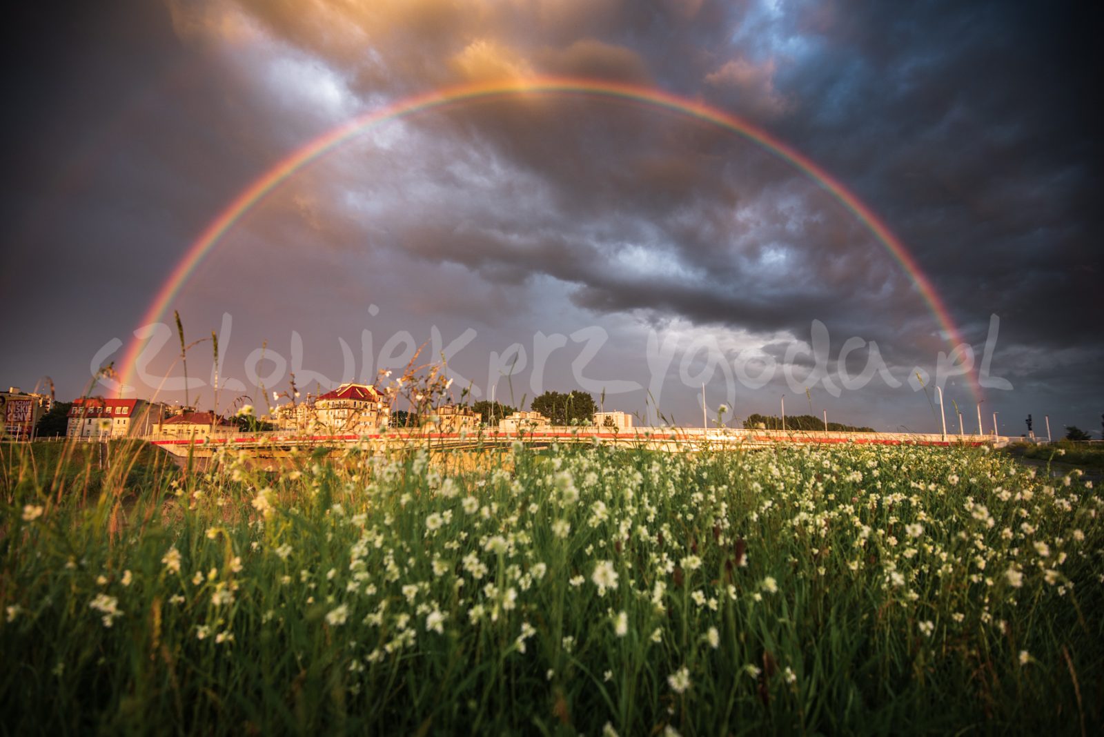Tęcza nad Opolem