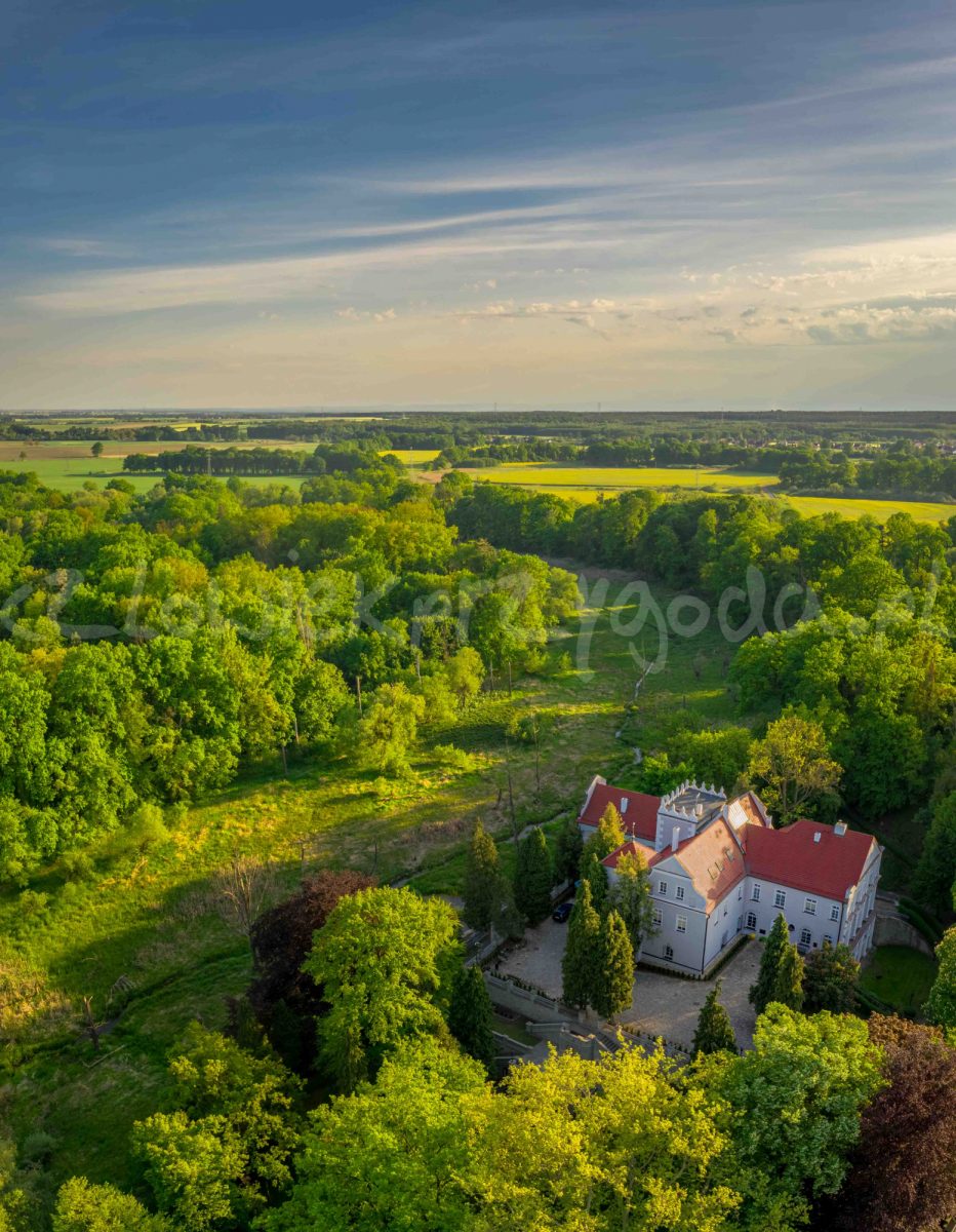 Zamek w Rogowie Opolskim