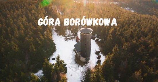 Borówkowa