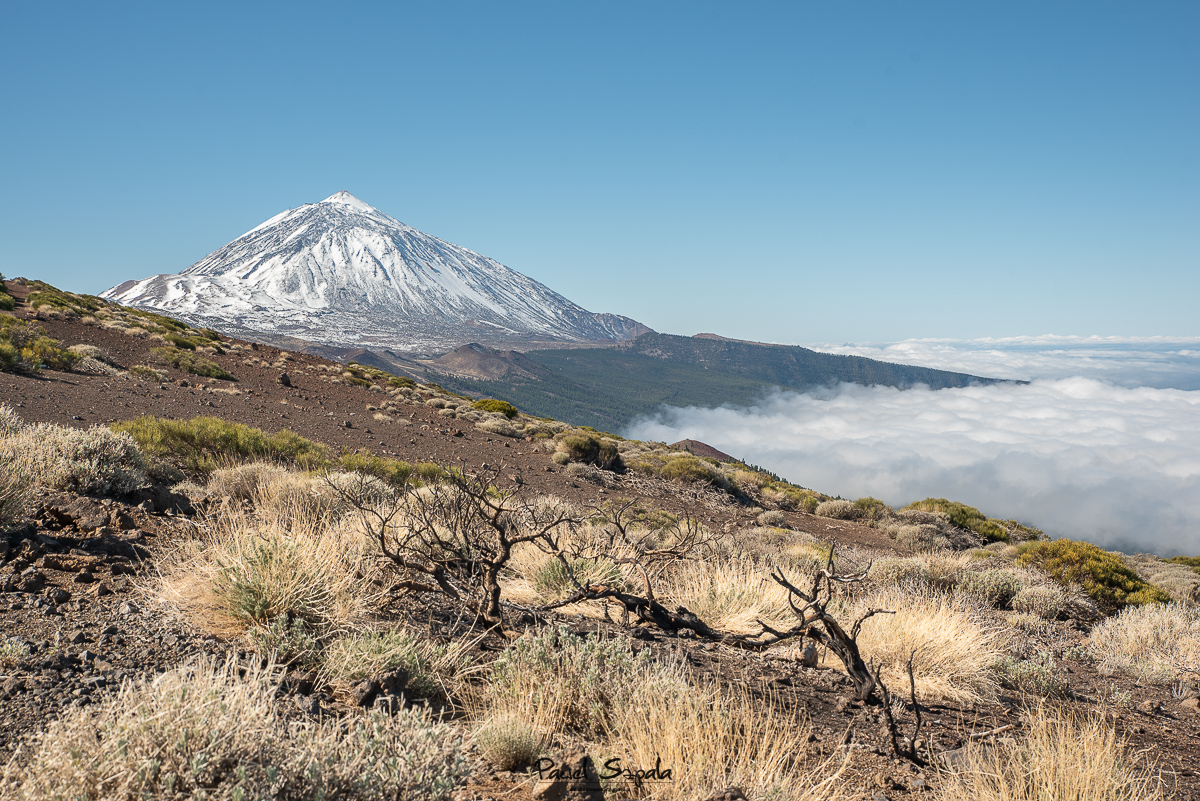 Okno na Teide