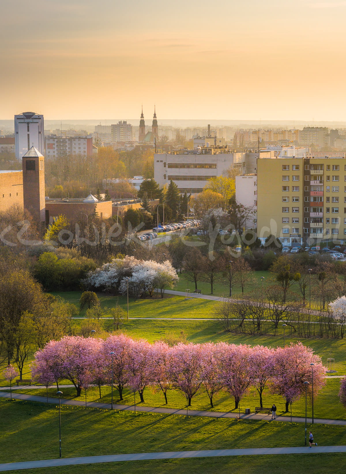 Wiosna w Opolu 2026